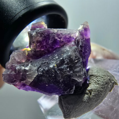 Spécimen rare de cube de fluorite fantôme, violet, Okorusu, Namibie, 25*22*12 mm #11907 