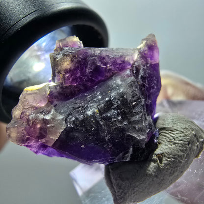 Spécimen rare de cube de fluorite fantôme, violet, Okorusu, Namibie, 25*22*12 mm #11907 