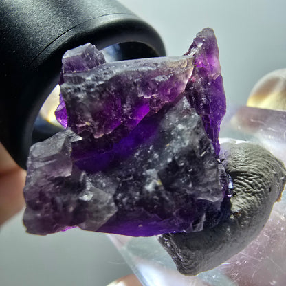 Spécimen rare de cube de fluorite fantôme, violet, Okorusu, Namibie, 25*22*12 mm #11907 