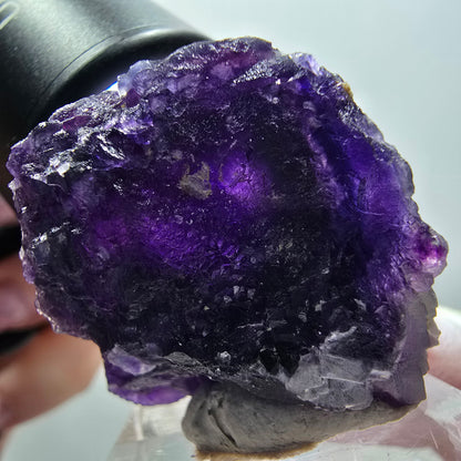 Rare spécimen de cube de fluorite fantôme, violet, Okorusu, Namibie, 37*33*27mm #11908 