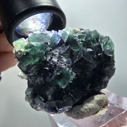 Rare phantom fluorite cube specimen, green-purple, Okorusu, Namibia, 44*34*13mm #11915 