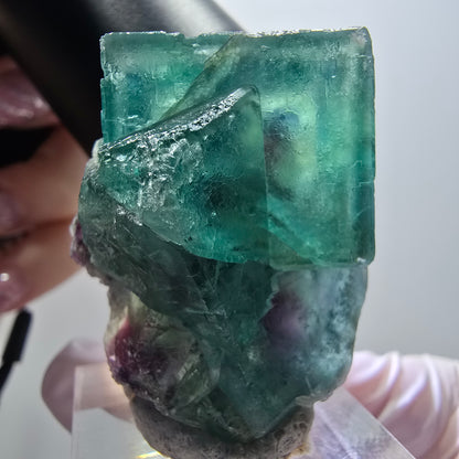 Rare phantom fluorite cube specimen, green-purple, Okorusu, Namibia, 39*31*23mm #11918 