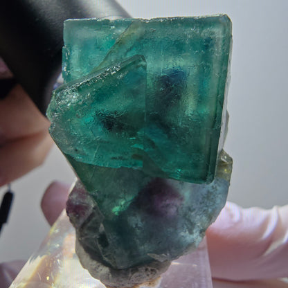 Rare phantom fluorite cube specimen, green-purple, Okorusu, Namibia, 39*31*23mm #11918 