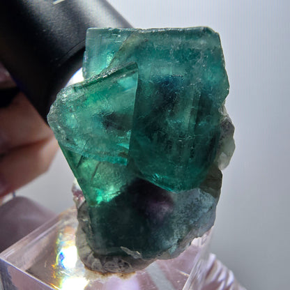 Rare phantom fluorite cube specimen, green-purple, Okorusu, Namibia, 39*31*23mm #11918 