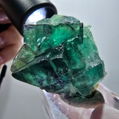 Rare spécimen de cube de fluorite fantôme, vert-violet, Okorusu, Namibie, 38*33*19 mm #11919 