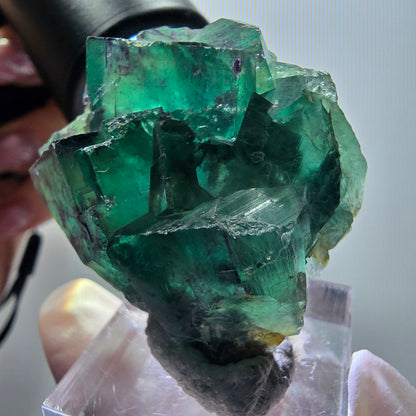 Rare spécimen de cube de fluorite fantôme, vert-violet, Okorusu, Namibie, 38*33*19 mm #11919 