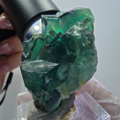 Rare spécimen de cube de fluorite fantôme, vert-violet, Okorusu, Namibie, 38*33*19 mm #11919 