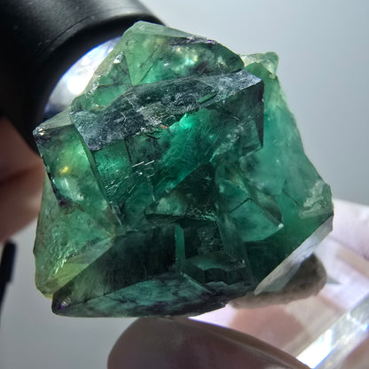Rare spécimen de cube de fluorite fantôme, vert-violet, Okorusu, Namibie, 38*33*19 mm #11919 