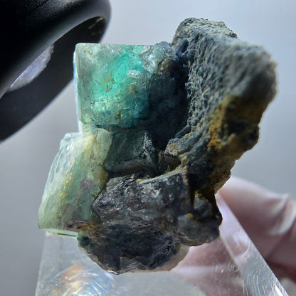 Cube de fluorite fantôme, spécimen de tourmaline schorl, Erongo, Namibie 38*32*19 mm #11921 