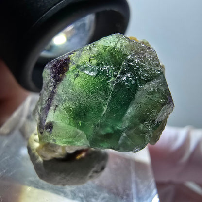Fluorite fantôme, tourmaline Schörl, muscovite Stage Erongo, Namibie 23*17*15mm #11922 