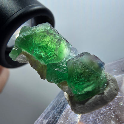 Fluorite fantôme, Tourmaline Schörl, Stade muscovite Erongo, Namibie 22*13*10mm #11924 