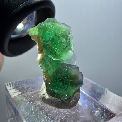 Fluorite fantôme, Tourmaline Schörl, Stade muscovite Erongo, Namibie 22*13*10mm #11924 