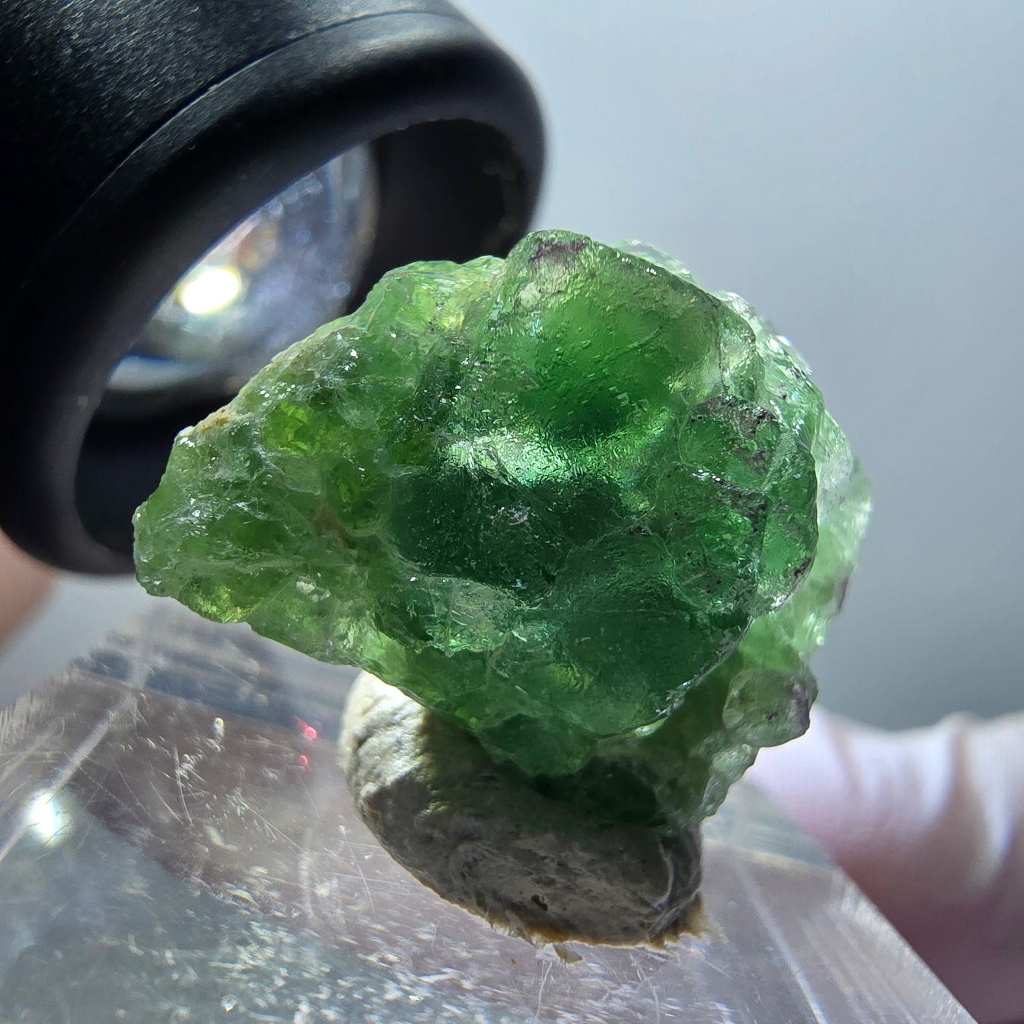 Fluorite fantôme, Tourmaline Schörl, Stade muscovite Erongo, Namibie 23*18*10mm #11925 