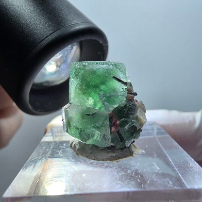 Phantom Fluorit, Schörl Turmalin, Muskovit Stufe Erongo, Namibia 18*19*14mm #11926