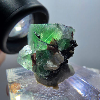 Phantom Fluorit, Schörl Turmalin, Muskovit Stufe Erongo, Namibia 18*19*14mm #11926