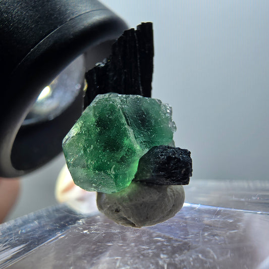 Phantom Fluorit, Schörl Turmalin Stufe Erongo, Namibia 18*13*9mm #11927