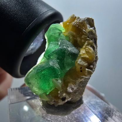 Phantom Fluorit, Schörl Turmalin, Muskovit Stufe Erongo, Namibia 27*14*19mm #11928