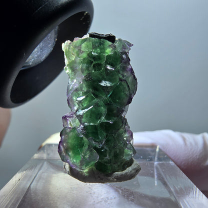 Phantom Fluorit, Schörl Turmalin, Muskovit Stufe Erongo, Namibia 25*14*11mm #11929