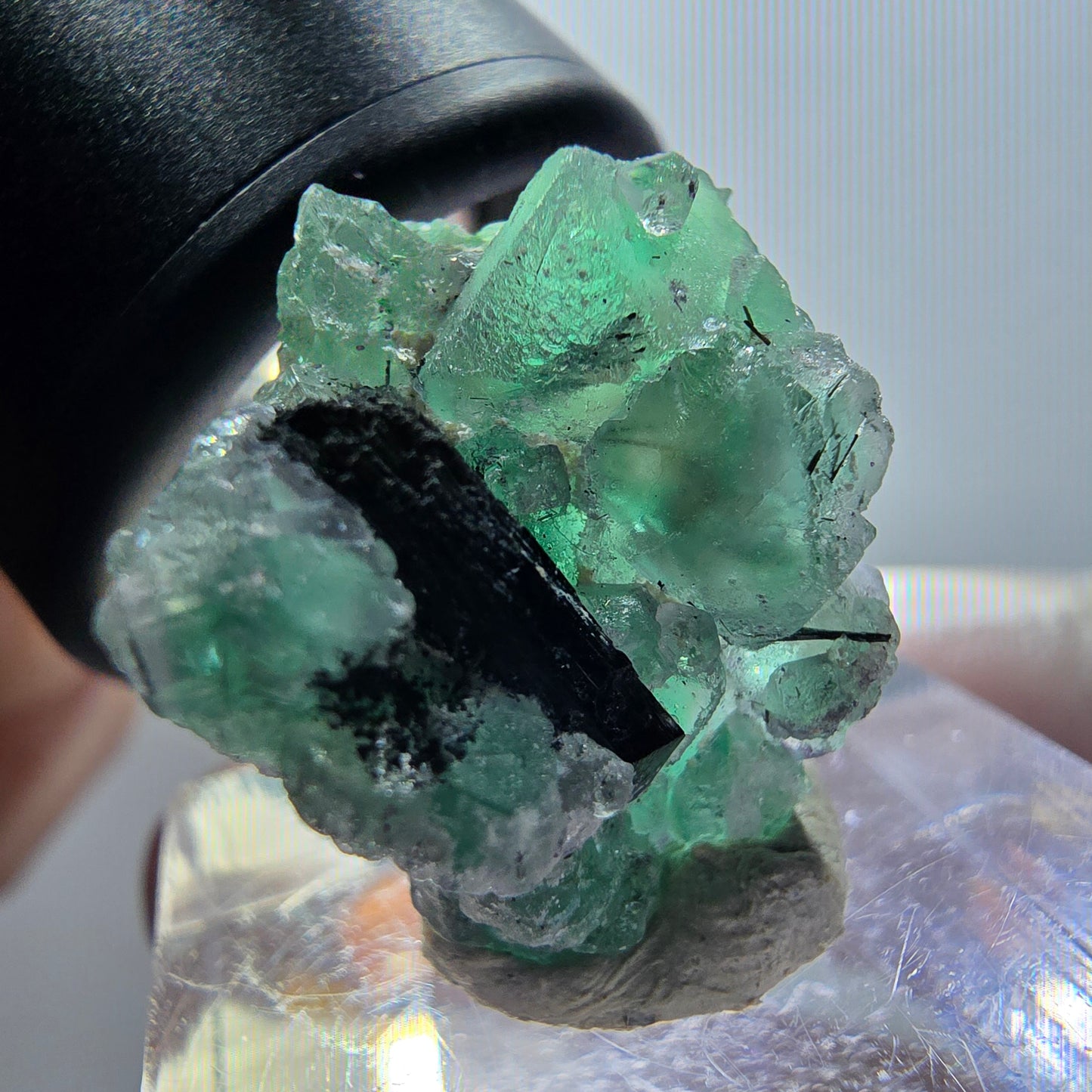Spécimen de fluorite fantôme et de tourmaline schorl, Erongo, Namibie, 21 x 17 x 19 mm, n° 11930 