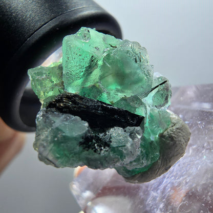 Spécimen de fluorite fantôme et de tourmaline schorl, Erongo, Namibie, 21 x 17 x 19 mm, n° 11930 