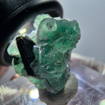 Spécimen de fluorite fantôme et de tourmaline schorl, Erongo, Namibie, 21 x 17 x 19 mm, n° 11930 