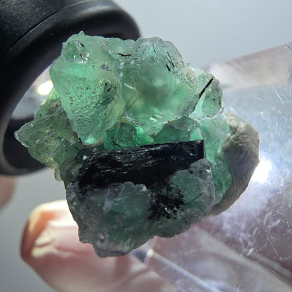 Spécimen de fluorite fantôme et de tourmaline schorl, Erongo, Namibie, 21 x 17 x 19 mm, n° 11930 