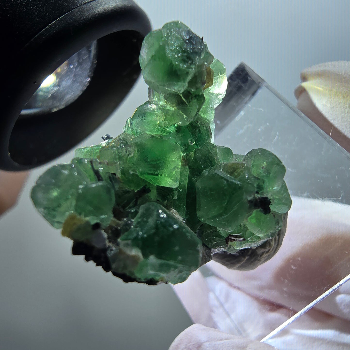 Fluorite fantôme, tourmaline Schörl, muscovite Stage Erongo, Namibie 29*23*16mm #11937 