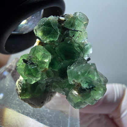 Fluorite fantôme, tourmaline Schörl, muscovite Stage Erongo, Namibie 29*23*16mm #11937 