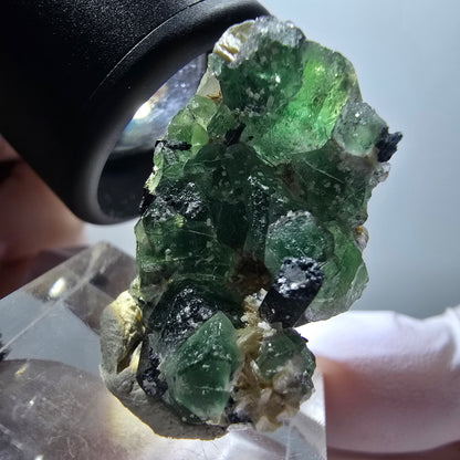 Fluorite fantôme, tourmaline Schörl, muscovite Stage Erongo, Namibie 30*18*14mm #11938 
