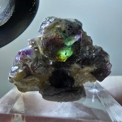Fluorite fantôme, Tourmaline Schörl, Stade muscovite Erongo, Namibie 27*21*11mm #11941 