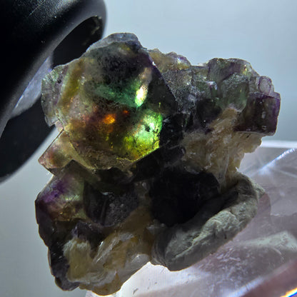 Fluorite fantôme, Tourmaline Schörl, Stade muscovite Erongo, Namibie 27*21*11mm #11941 