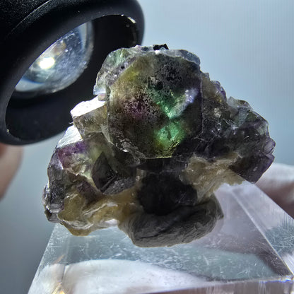 Fluorite fantôme, Tourmaline Schörl, Stade muscovite Erongo, Namibie 27*21*11mm #11941 