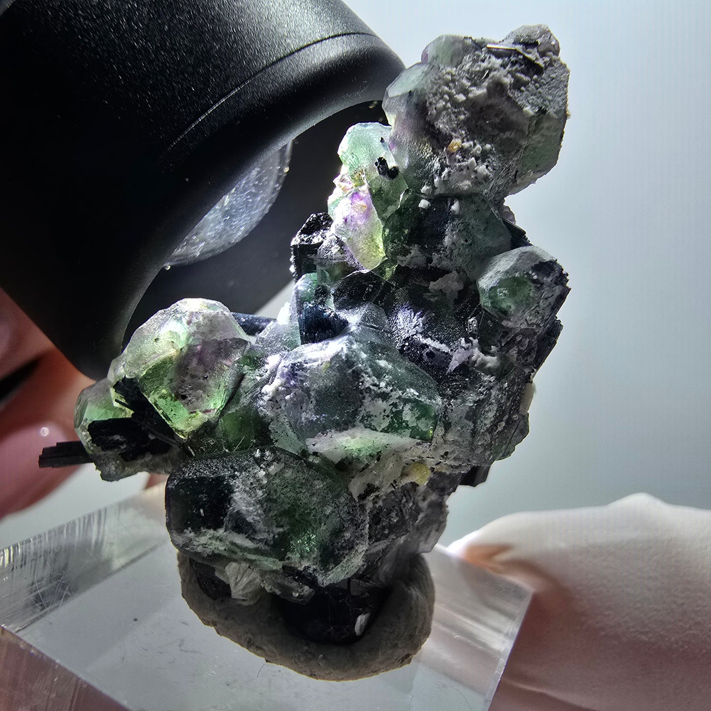 Fluorite fantôme, Tourmaline Schörl, Stade muscovite Erongo, Namibie 39*35*20mm #11943 