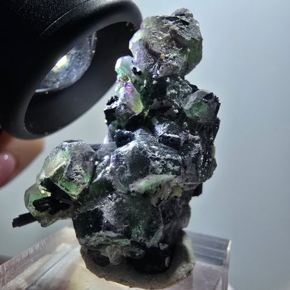 Fluorite fantôme, Tourmaline Schörl, Stade muscovite Erongo, Namibie 39*35*20mm #11943 