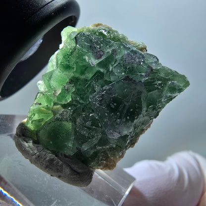 Fluorite fantôme, Tourmaline Schörl, Stade muscovite Erongo, Namibie 28*28*13mm #11944 