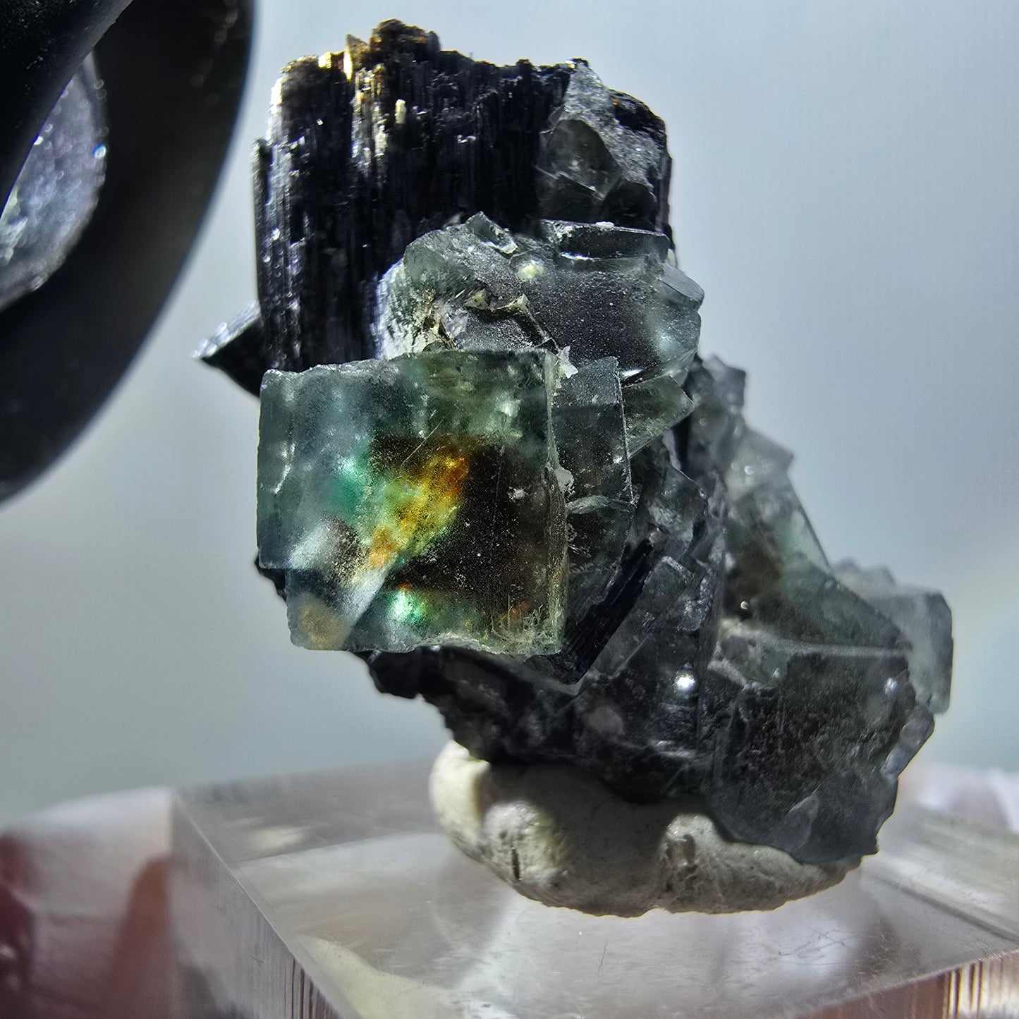Fluorite fantôme, Tourmaline Schörl, Stade muscovite Erongo, Namibie 34*26*18mm #11945 