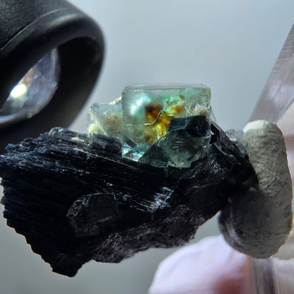 Fluorite fantôme, Tourmaline Schörl, Stade muscovite Erongo, Namibie 34*26*18mm #11945 