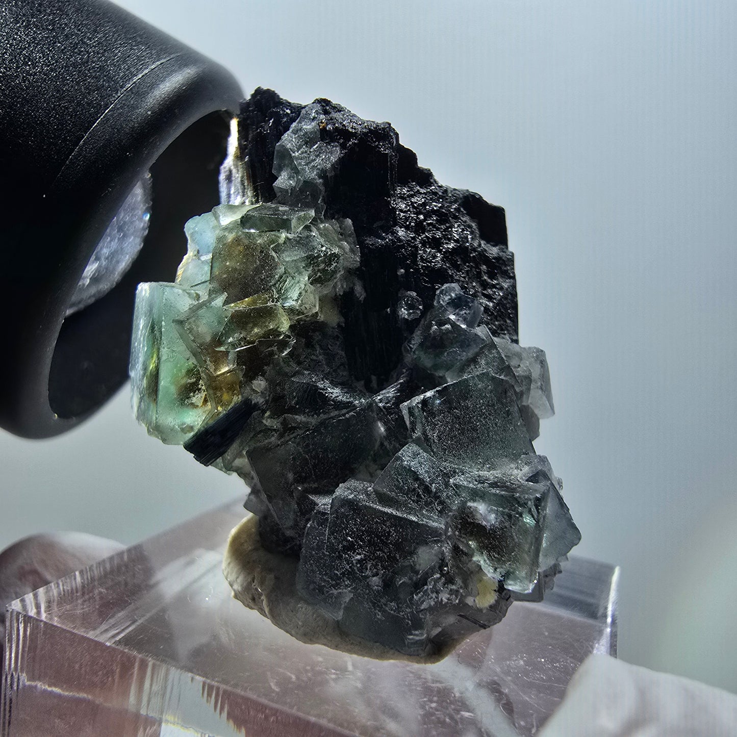 Fluorite fantôme, Tourmaline Schörl, Stade muscovite Erongo, Namibie 34*26*18mm #11945 