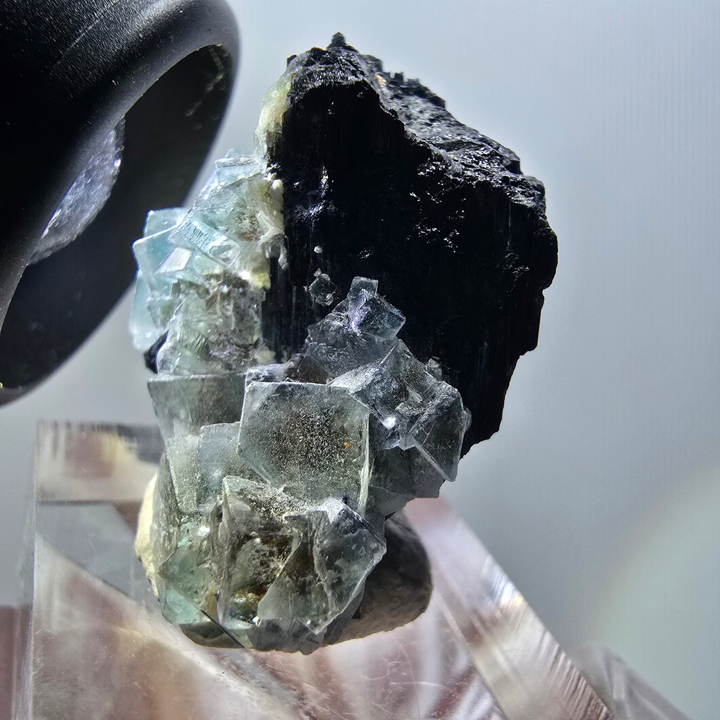 Fluorite fantôme, Tourmaline Schörl, Stade muscovite Erongo, Namibie 34*26*18mm #11945 