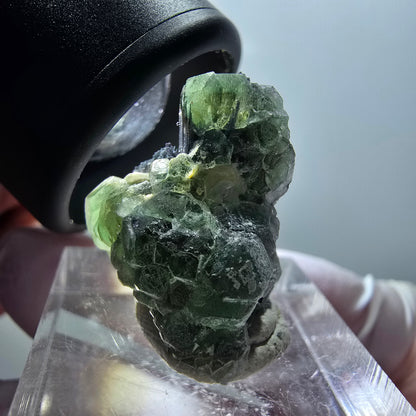 Phantom Fluorit, Schörl Turmalin, Muskovit Stufe Erongo, Namibia 25*18*17mm #11947