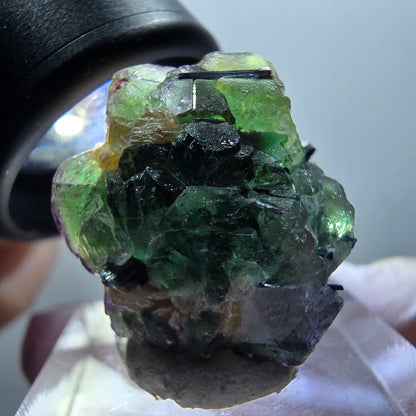 Fluorite fantôme, Tourmaline Schörl, Stade muscovite Erongo, Namibie 24*21*18mm #11949 