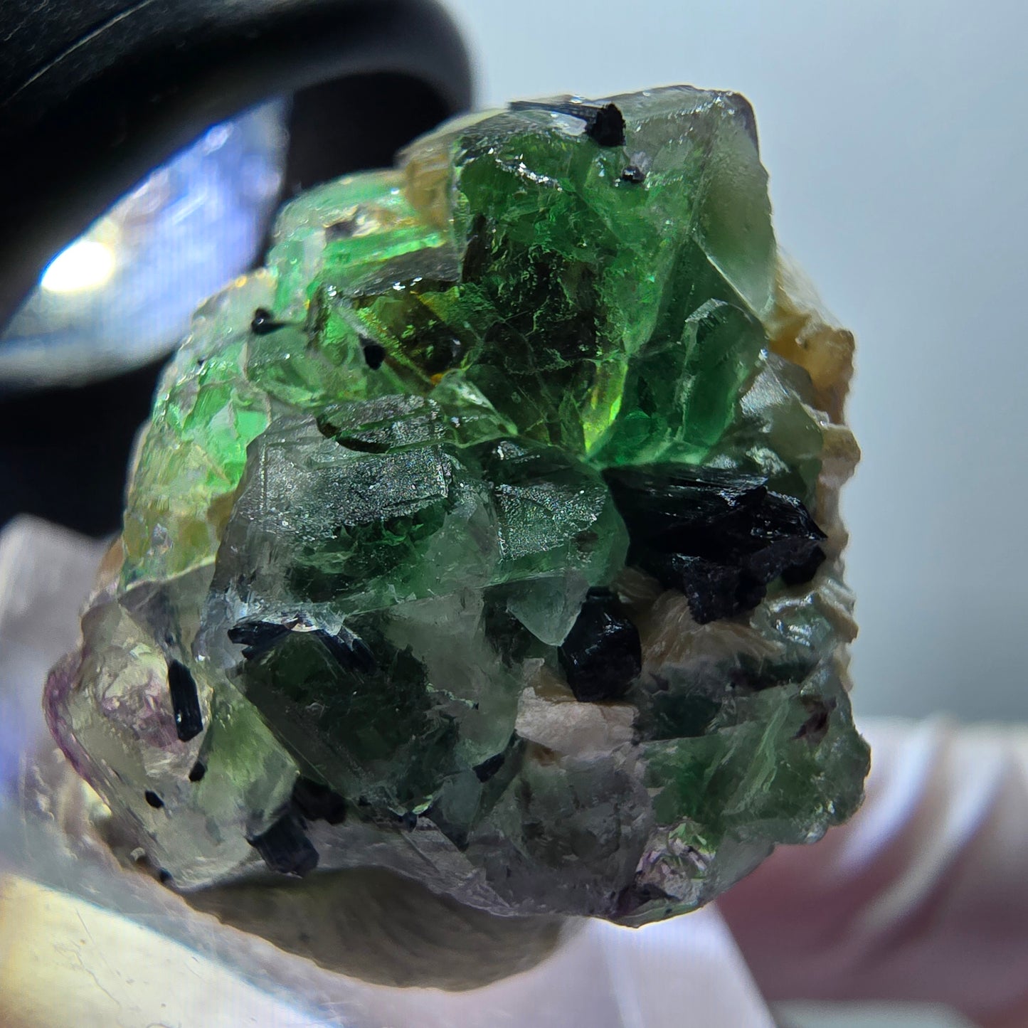 Fluorite fantôme, Tourmaline Schörl, Stade muscovite Erongo, Namibie 24*21*18mm #11949 