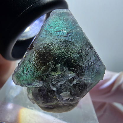 Seltene Phantom Fluorit, hexagonal, Muskovit Stufe Erongo, Namibia 28*26*21mm #11950