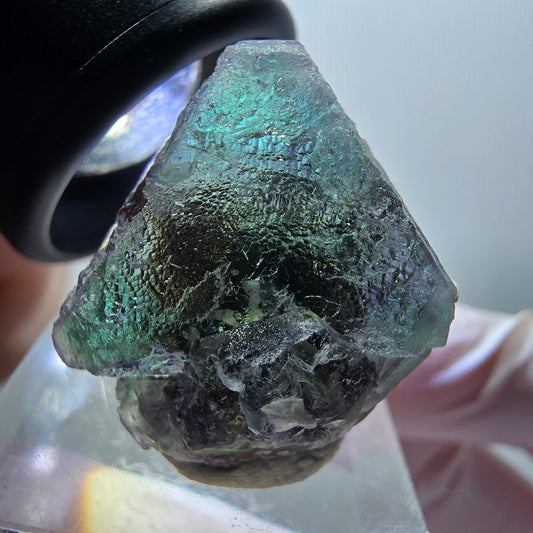 Seltene Phantom Fluorit, hexagonal, Muskovit Stufe Erongo, Namibia 28*26*21mm #11950