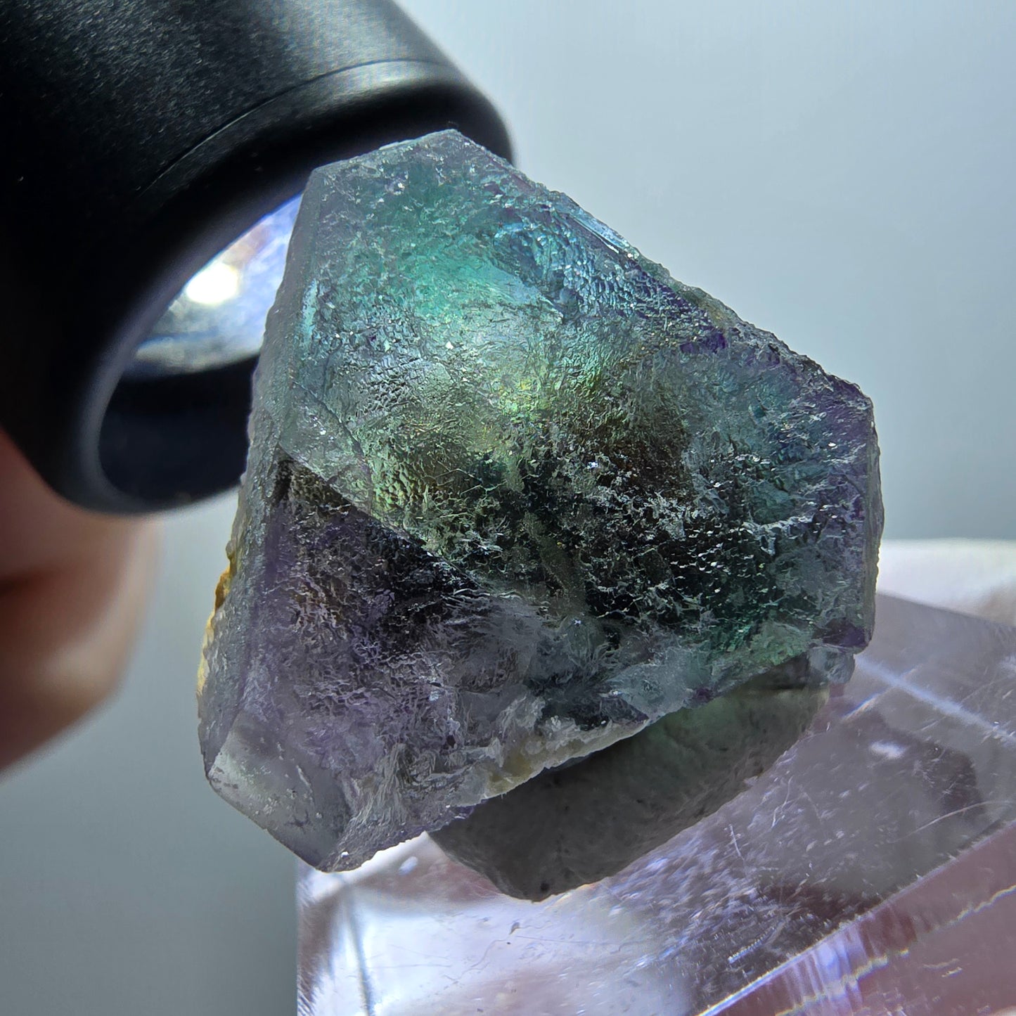 Seltene Phantom Fluorit, hexagonal, Muskovit Stufe Erongo, Namibia 28*26*21mm #11950