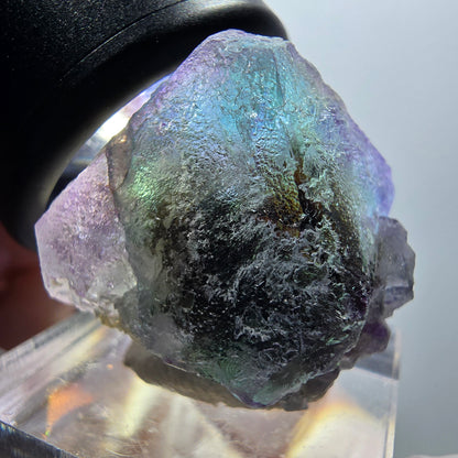 Seltene Phantom Fluorit, hexagonal, Muskovit Stufe Erongo, Namibia 28*26*21mm #11950