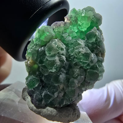 Spécimen de fluorite fantôme, tourmaline schorl et muscovite, Erongo, Namibie, 34 x 25 x 19 mm, n° 11952 