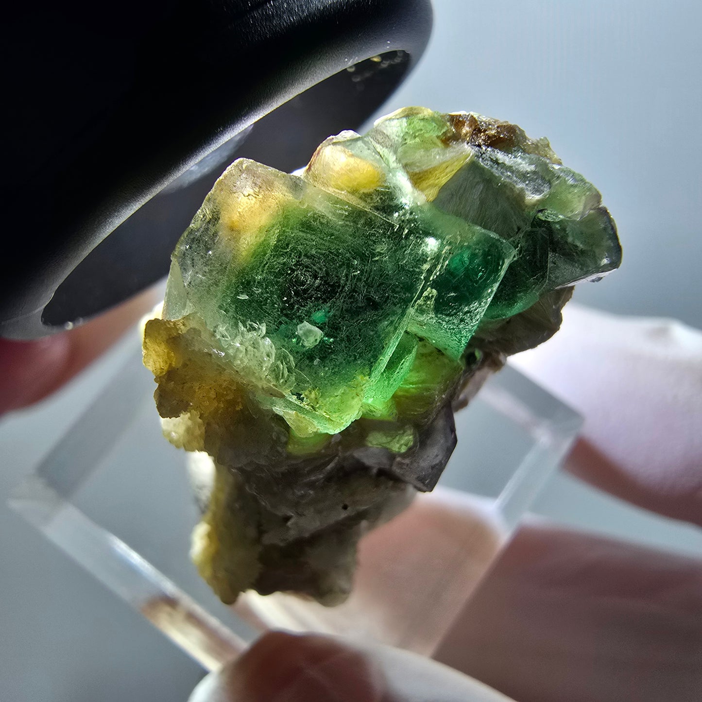 Fluorite fantôme, Tourmaline Schörl, Stade muscovite Erongo, Namibie 32*20*17mm #11956 