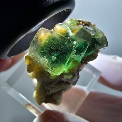 Fluorite fantôme, Tourmaline Schörl, Stade muscovite Erongo, Namibie 32*20*17mm #11956 