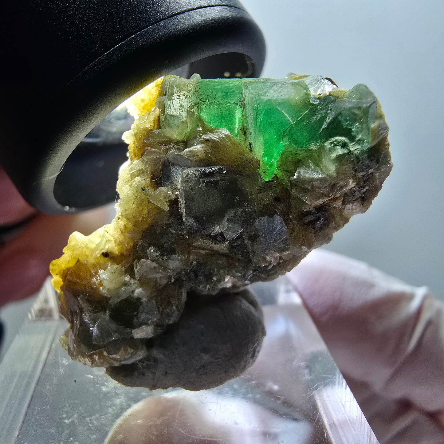 Fluorite fantôme, Tourmaline Schörl, Stade muscovite Erongo, Namibie 32*20*17mm #11956 